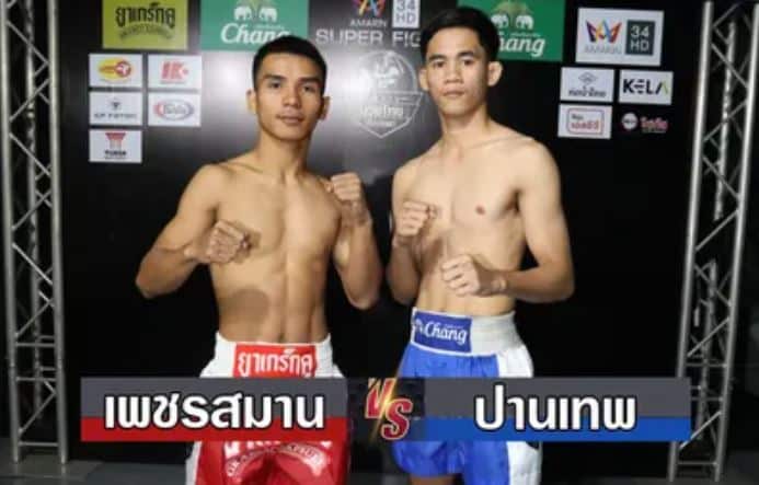 ศึกช้างมวยไทย