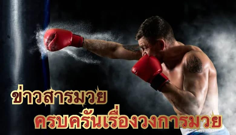 ข่าวสารมวย
