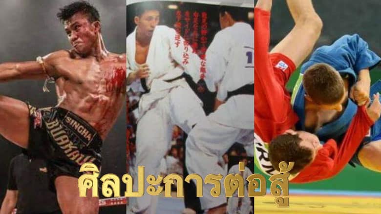 ศิลปะการต่อสู้