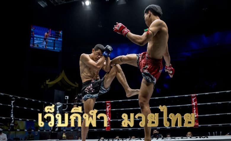 เว็บกีฬา มวยไทย